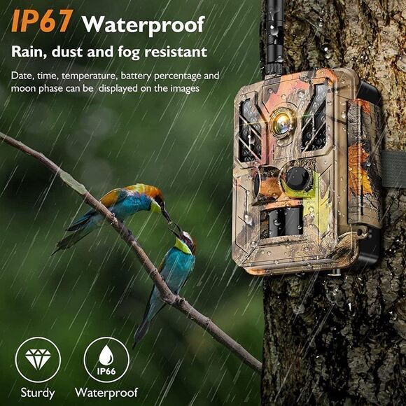 WiFi Trail Camera Solar Powered Camera 4K HD Video Hunting for Wildlife Monitori - Picture 4 of 10